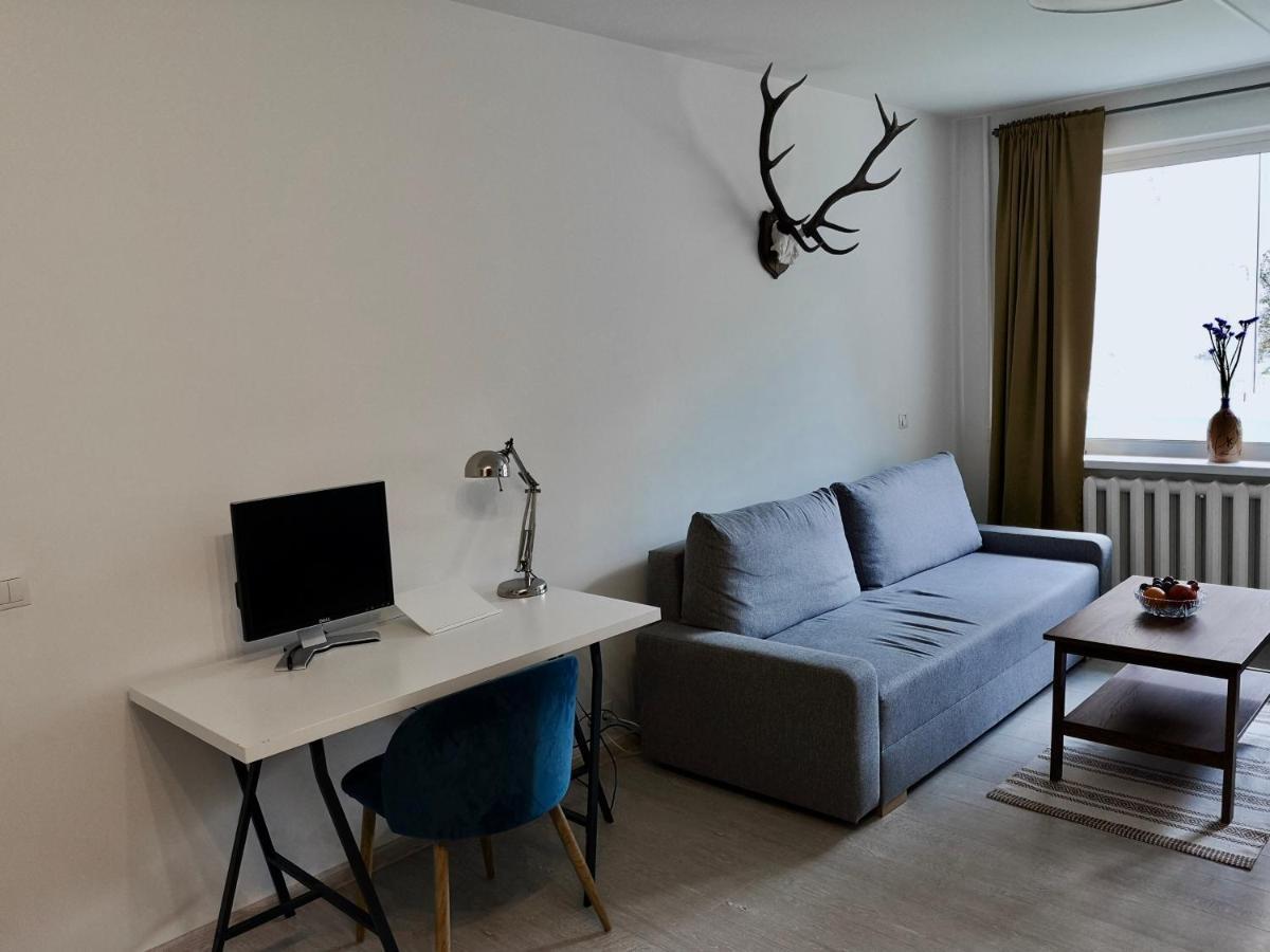 Homely Apartment In Kėdainiai Eksteriør bilde